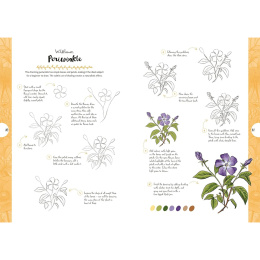 10 Step Drawing: Botanicals i gruppen Skapande & Hobby / Böcker / Instruktionsböcker hos Pen Store (137196)