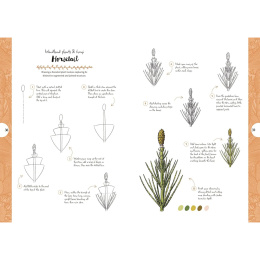 10 Step Drawing: Botanicals i gruppen Skapande & Hobby / Böcker / Instruktionsböcker hos Pen Store (137196)