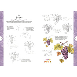 10 Step Drawing: Botanicals i gruppen Skapande & Hobby / Böcker / Instruktionsböcker hos Pen Store (137196)