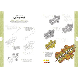 10 Step Drawing: Botanicals i gruppen Skapande & Hobby / Böcker / Instruktionsböcker hos Pen Store (137196)