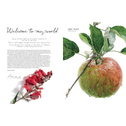 Anna Mason's Watercolour World i gruppen Skapande & Hobby / Böcker / Inspirationsböcker hos Pen Store (137202)