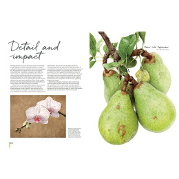 Anna Mason's Watercolour World i gruppen Skapande & Hobby / Böcker / Inspirationsböcker hos Pen Store (137202)