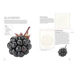 Anna Mason's Watercolour World i gruppen Skapande & Hobby / Böcker / Inspirationsböcker hos Pen Store (137202)