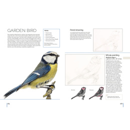 Anna Mason's Watercolour World i gruppen Skapande & Hobby / Böcker / Inspirationsböcker hos Pen Store (137202)