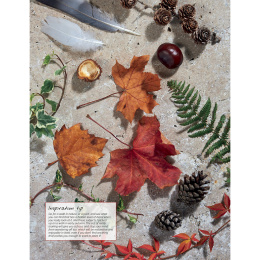 Anna Mason's Watercolour World i gruppen Skapande & Hobby / Böcker / Inspirationsböcker hos Pen Store (137202)