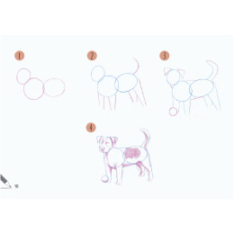 Draw 30: Animals i gruppen Skapande & Hobby / Böcker / Instruktionsböcker hos Pen Store (137210)