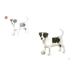 Draw 30: Animals i gruppen Skapande & Hobby / Böcker / Instruktionsböcker hos Pen Store (137210)