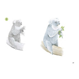 Draw 30: Animals i gruppen Skapande & Hobby / Böcker / Instruktionsböcker hos Pen Store (137210)