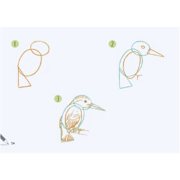 Draw 30: Animals i gruppen Skapande & Hobby / Böcker / Instruktionsböcker hos Pen Store (137210)