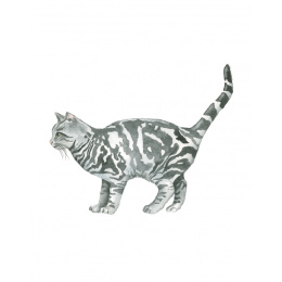 Draw 30: Cats i gruppen Skapande & Hobby / Böcker / Instruktionsböcker hos Pen Store (137211)