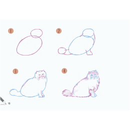 Draw 30: Cats i gruppen Skapande & Hobby / Böcker / Instruktionsböcker hos Pen Store (137211)