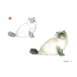 Draw 30: Cats i gruppen Skapande & Hobby / Böcker / Instruktionsböcker hos Pen Store (137211)