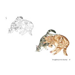 Draw 30: Cats i gruppen Skapande & Hobby / Böcker / Instruktionsböcker hos Pen Store (137211)