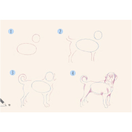 Draw 30: Dogs i gruppen Skapande & Hobby / Böcker / Instruktionsböcker hos Pen Store (137213)