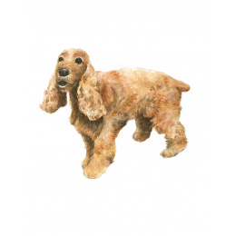 Draw 30: Dogs i gruppen Skapande & Hobby / Böcker / Instruktionsböcker hos Pen Store (137213)