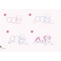 Draw 30: Dogs i gruppen Skapande & Hobby / Böcker / Instruktionsböcker hos Pen Store (137213)