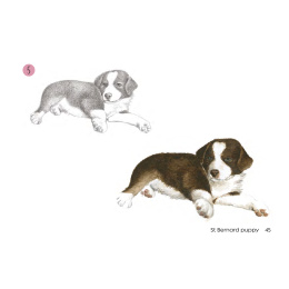 Draw 30: Dogs i gruppen Skapande & Hobby / Böcker / Instruktionsböcker hos Pen Store (137213)