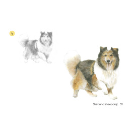 Draw 30: Dogs i gruppen Skapande & Hobby / Böcker / Instruktionsböcker hos Pen Store (137213)