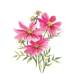 Draw 30: Flowers i gruppen Skapande & Hobby / Böcker / Instruktionsböcker hos Pen Store (137215)