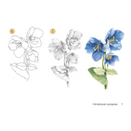 Draw 30: Flowers i gruppen Skapande & Hobby / Böcker / Instruktionsböcker hos Pen Store (137215)