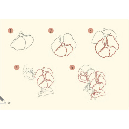 Draw 30: Flowers i gruppen Skapande & Hobby / Böcker / Instruktionsböcker hos Pen Store (137215)