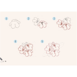 Draw 30: Flowers i gruppen Skapande & Hobby / Böcker / Instruktionsböcker hos Pen Store (137215)