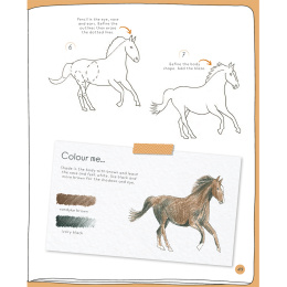 Draw in 10 Minutes: Animals i gruppen Skapande & Hobby / Böcker / Instruktionsböcker hos Pen Store (137218)