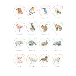 Draw in 10 Minutes: Animals i gruppen Skapande & Hobby / Böcker / Instruktionsböcker hos Pen Store (137218)