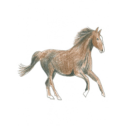 Draw in 10 Minutes: Animals i gruppen Skapande & Hobby / Böcker / Instruktionsböcker hos Pen Store (137218)