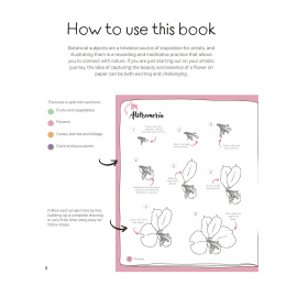 Draw in 10 Minutes: Botanicals i gruppen Skapande & Hobby / Böcker / Instruktionsböcker hos Pen Store (137219)
