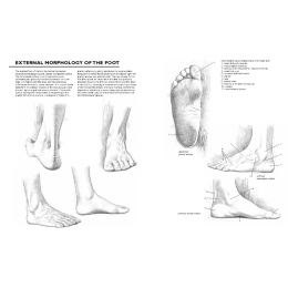 Drawing: A Complete Guide i gruppen Skapande & Hobby / Böcker / Inspirationsböcker hos Pen Store (137220)