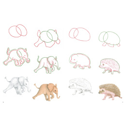 How to Draw: Baby Animals i gruppen Skapande & Hobby / Böcker / Instruktionsböcker hos Pen Store (137223)