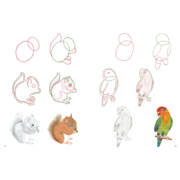 How to Draw: Baby Animals i gruppen Skapande & Hobby / Böcker / Instruktionsböcker hos Pen Store (137223)