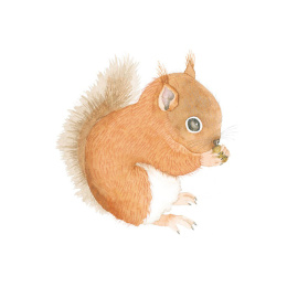 How to Draw: Baby Animals i gruppen Skapande & Hobby / Böcker / Instruktionsböcker hos Pen Store (137223)