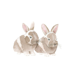 How to Draw: Baby Animals i gruppen Skapande & Hobby / Böcker / Instruktionsböcker hos Pen Store (137223)