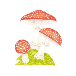 How to Draw: Nature i gruppen Skapande & Hobby / Böcker / Instruktionsböcker hos Pen Store (137224)
