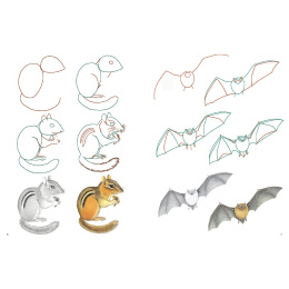 How to Draw: Nature i gruppen Skapande & Hobby / Böcker / Instruktionsböcker hos Pen Store (137224)