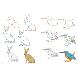How to Draw: Nature i gruppen Skapande & Hobby / Böcker / Instruktionsböcker hos Pen Store (137224)
