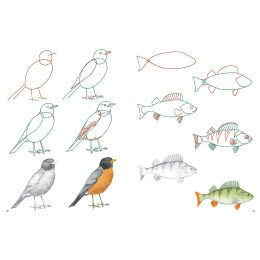 How to Draw: Nature i gruppen Skapande & Hobby / Böcker / Instruktionsböcker hos Pen Store (137224)