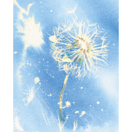 Loose and Lively Flowers in Watercolour, Inks & Mixed Media i gruppen Skapande & Hobby / Böcker / Inspirationsböcker hos Pen Store (137226)