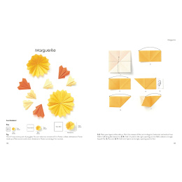 Origami for the Absolute Beginner i gruppen Skapande & Hobby / Böcker / Instruktionsböcker hos Pen Store (137227)