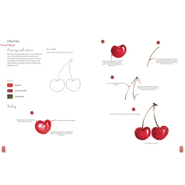Paint 50: Watercolour Nature i gruppen Skapande & Hobby / Böcker / Instruktionsböcker hos Pen Store (137229)