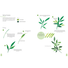 Paint 50: Watercolour Nature i gruppen Skapande & Hobby / Böcker / Instruktionsböcker hos Pen Store (137229)