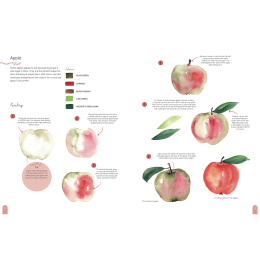 Paint 50: Watercolour Nature i gruppen Skapande & Hobby / Böcker / Instruktionsböcker hos Pen Store (137229)