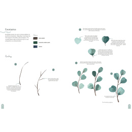 Paint 50: Watercolour Nature i gruppen Skapande & Hobby / Böcker / Instruktionsböcker hos Pen Store (137229)