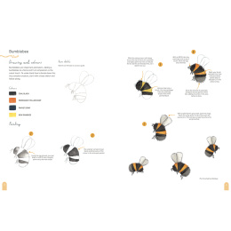 Paint 50: Watercolour Nature i gruppen Skapande & Hobby / Böcker / Instruktionsböcker hos Pen Store (137229)