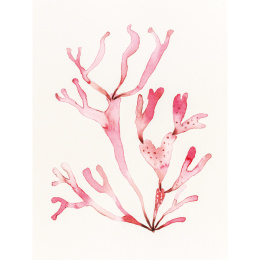 The Colour Mixing Guide: Watercolour Seashore i gruppen Skapande & Hobby / Böcker / Inspirationsböcker hos Pen Store (137235)