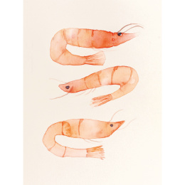 The Colour Mixing Guide: Watercolour Seashore i gruppen Skapande & Hobby / Böcker / Inspirationsböcker hos Pen Store (137235)