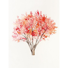 The Colour Mixing Guide: Watercolour Woodland i gruppen Skapande & Hobby / Böcker / Inspirationsböcker hos Pen Store (137236)