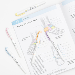 Mildliner 5-pack Gentle i gruppen Pennor / Konstnärspennor / Illustrationsmarkers hos Pen Store (137262)